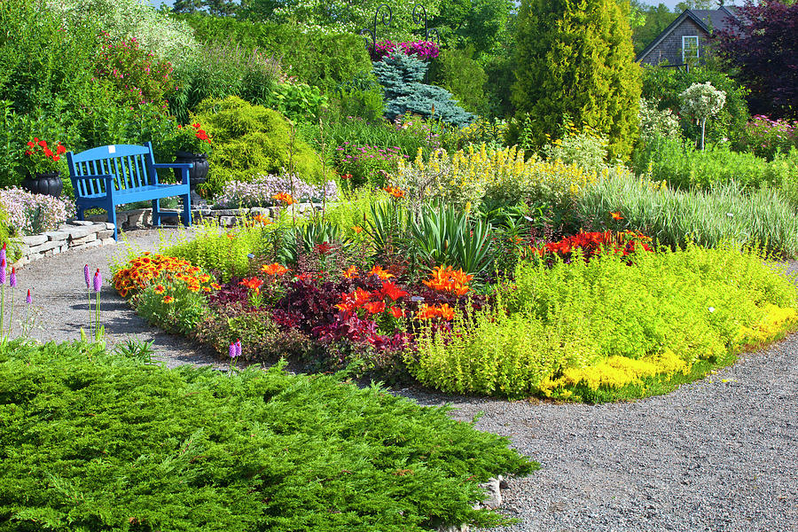 Flower Garden And Blue Bench Photograph by Wholden