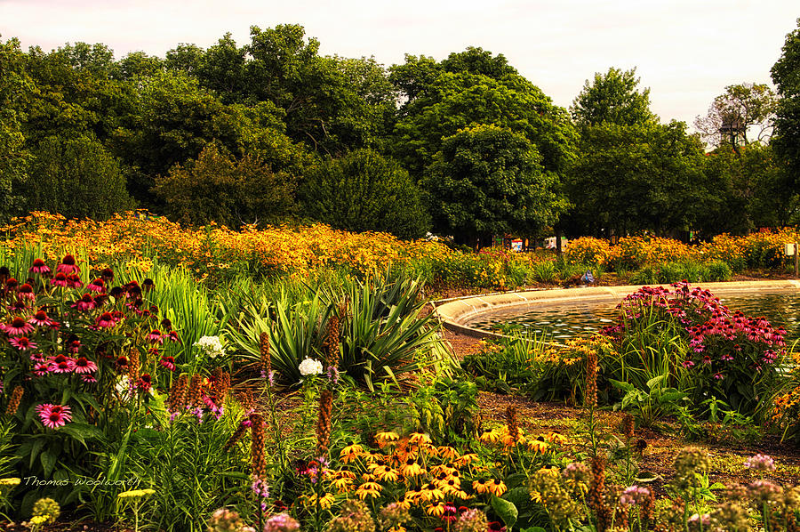 Flower Garden At The Zoo Photograph by Thomas Woolworth