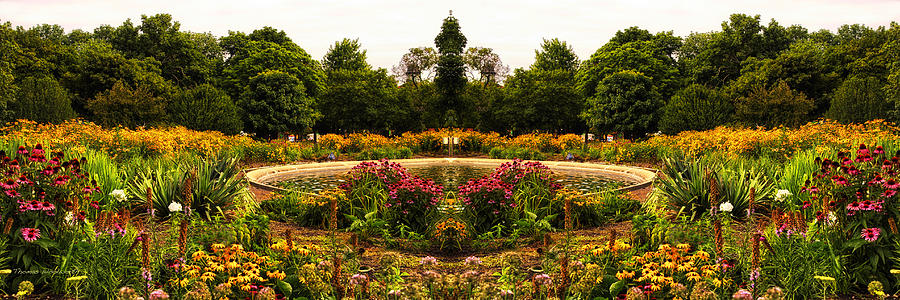 Flower Garden Photograph by Thomas Woolworth