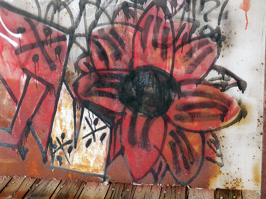 Flower Graffiti Art Photograph by Corinne Elizabeth Cowherd