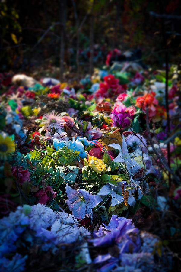 Flower Graveyard Photograph by Melinda Fawver