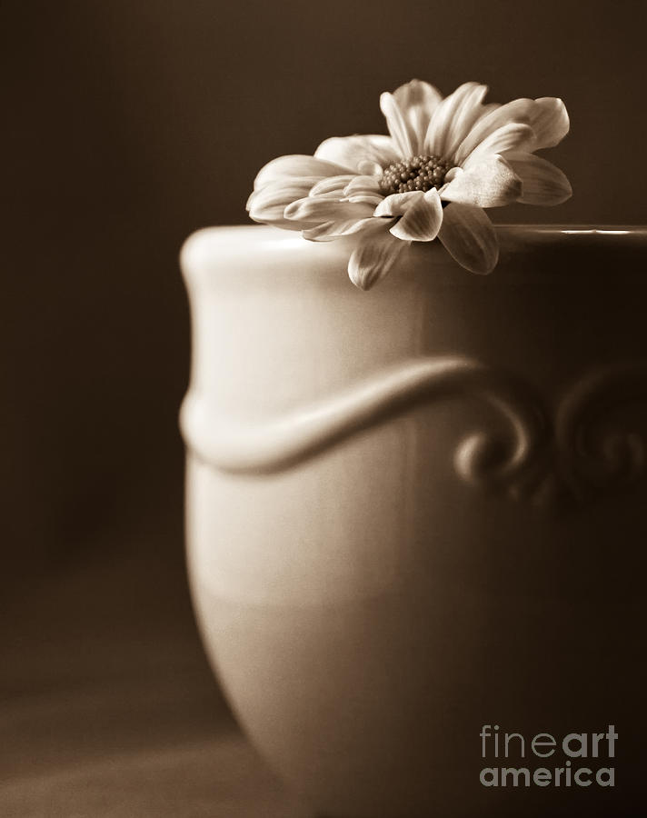 Flower in the Cup Digital Art by Lori Frostad