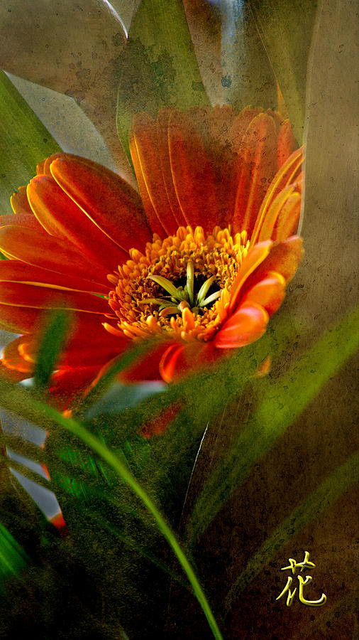 Flower Photograph by John Rivera