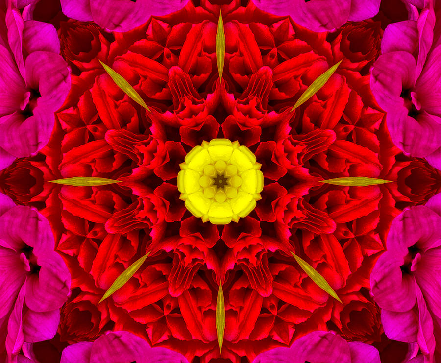 Flower Kaleidoscope Photograph by Bill Barber