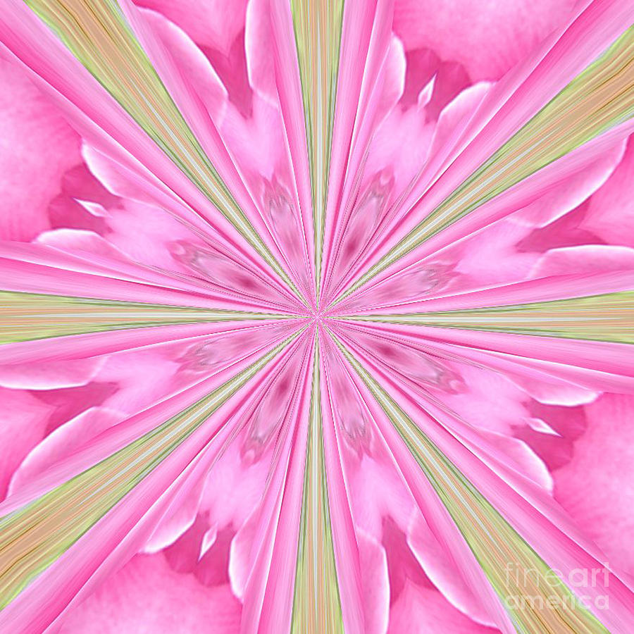 Flower Kaleidoscope Photograph by Donna Brown
