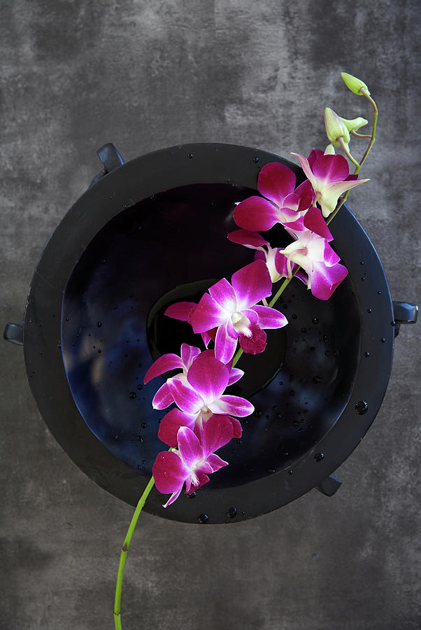 Flower Laying On Metal Pot Photograph by Colin Anderson Productions Pty Ltd