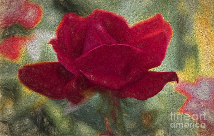 Flower - Living Rose - Luther Fine Art Photograph by Luther Fine Art