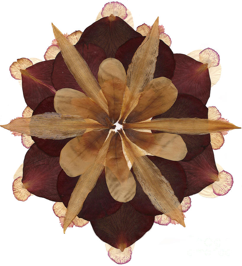 Flower Mandala 3 Mixed Media by Michelle Bien