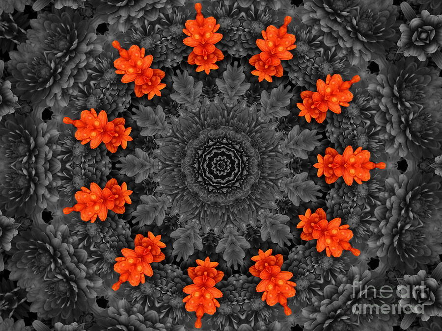 Flower Mandala  Photograph by Andrea Kollo
