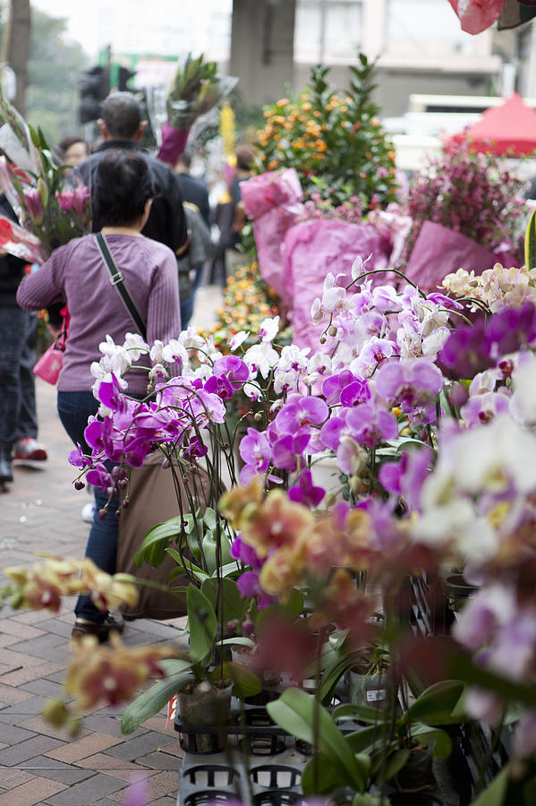 Flower Market, Hong Kong, China Photograph by Cultura Rm Exclusive/nancy Honey