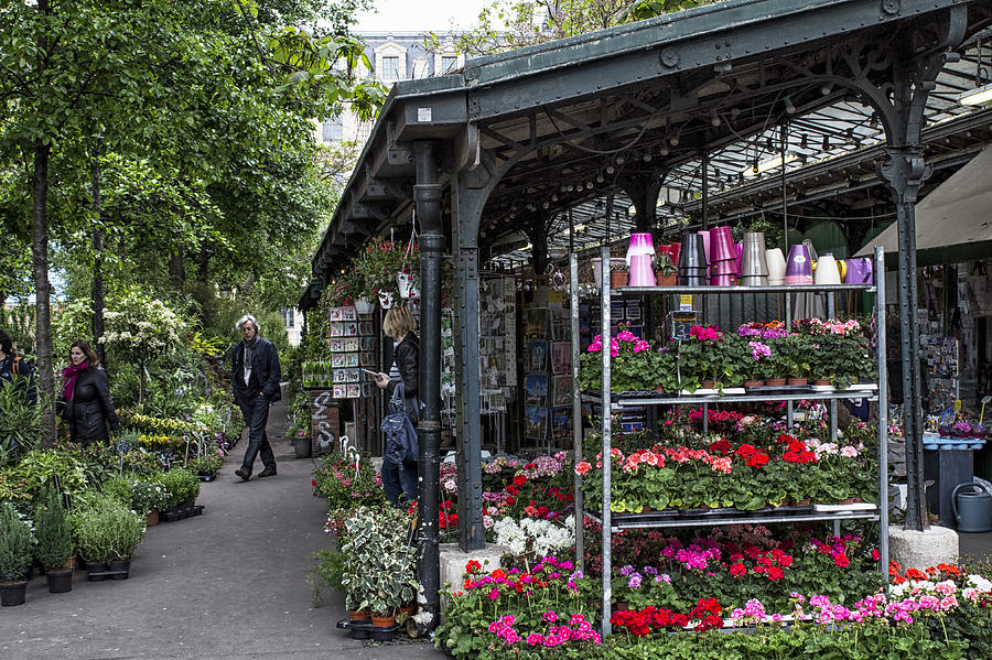 Paris Photograph - Flower Market in Paris by Georgia Clare