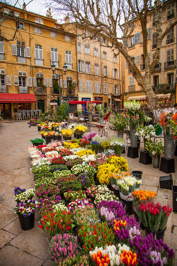 City Photograph - Flower Market in Provence by W Chris Fooshee