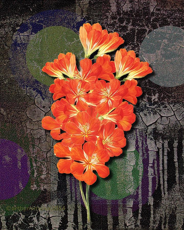 Flower meets Grunge meets Popart Digital Art by Mimulux Patricia No