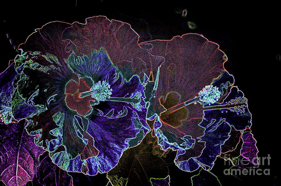 Flower - Neon Hibiscus - Luther Fine -Art Photograph by Luther Fine Art