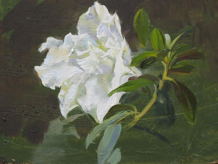 Flower Of Azalia Painting