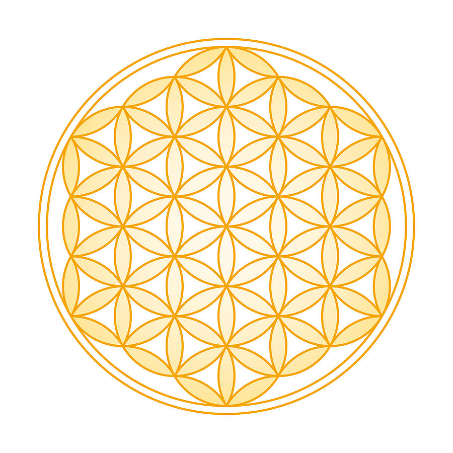 Flower of Life Golden Gradient Digital Art by Peter Hermes Furian ...