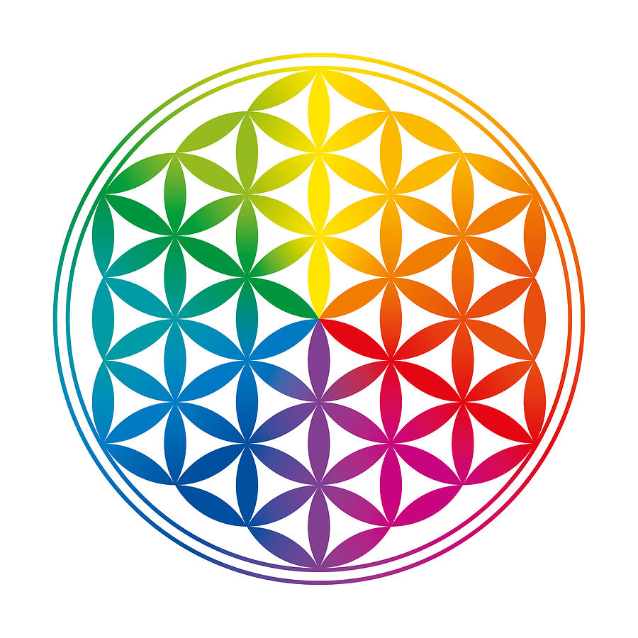 Flower of Life Rainbow Gradients Digital Art by Peter Hermes Furian ...