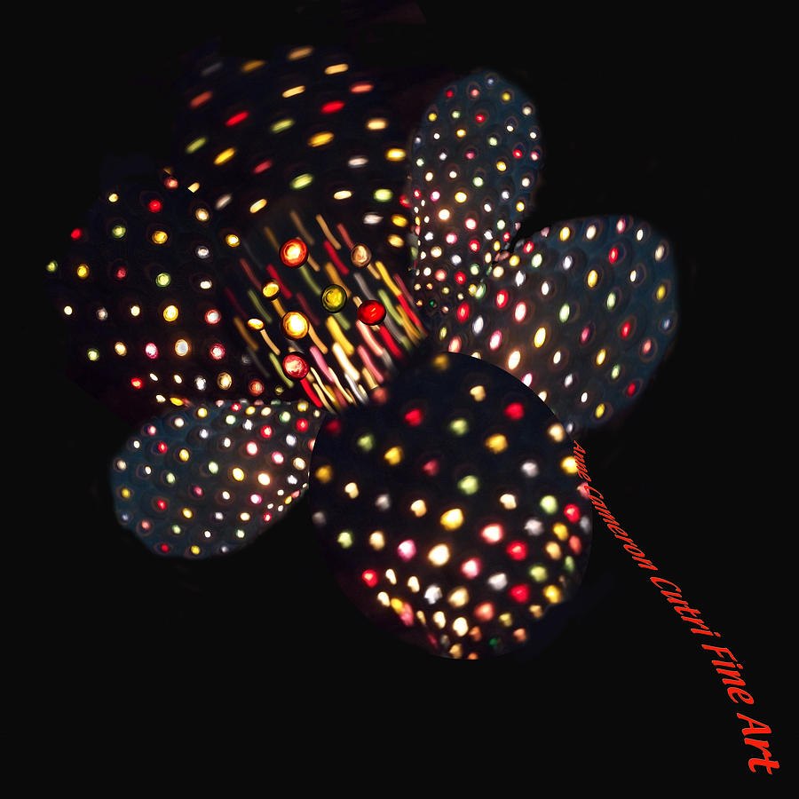 Flower of lights Photograph by Anne Cameron Cutri
