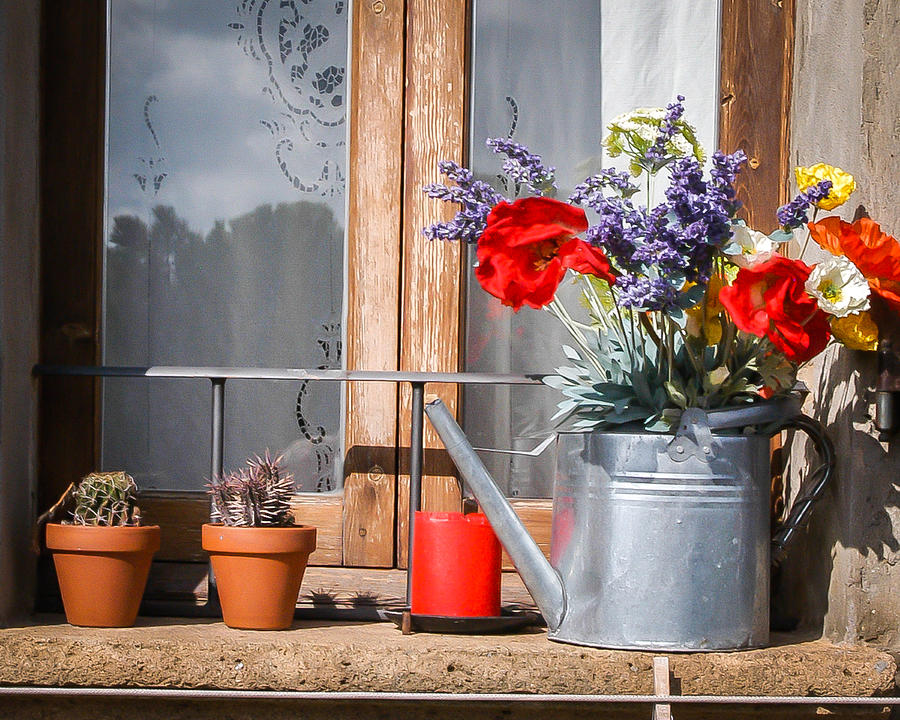 Flower on the window sill Photograph by William Krumpelman