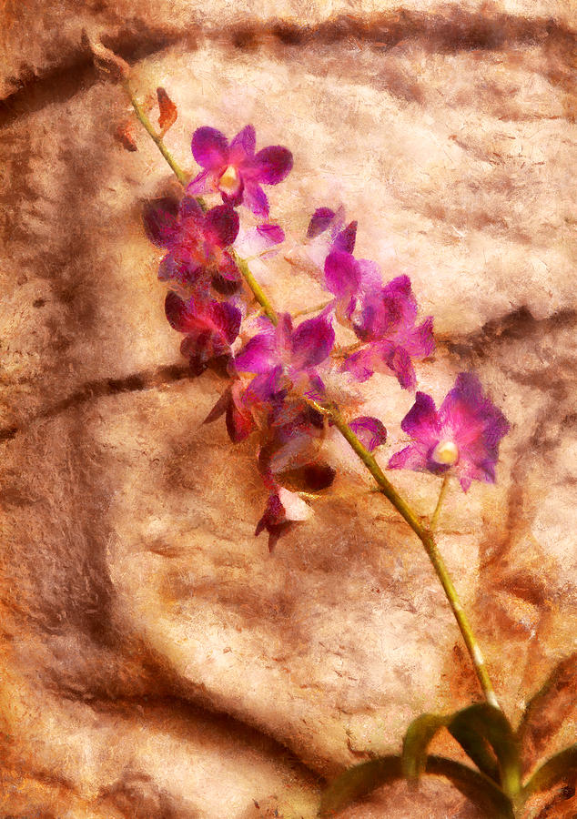Flower - Orchid - Just Splendid Photograph by Mike Savad