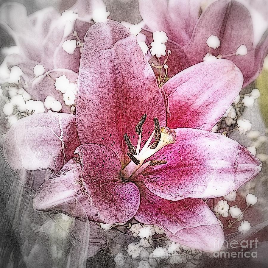 Pink on Silver - Flower Photography Photograph by Miriam Danar