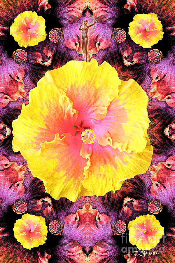 Flower Pink to Yellow Photograph by Joseph J Stevens