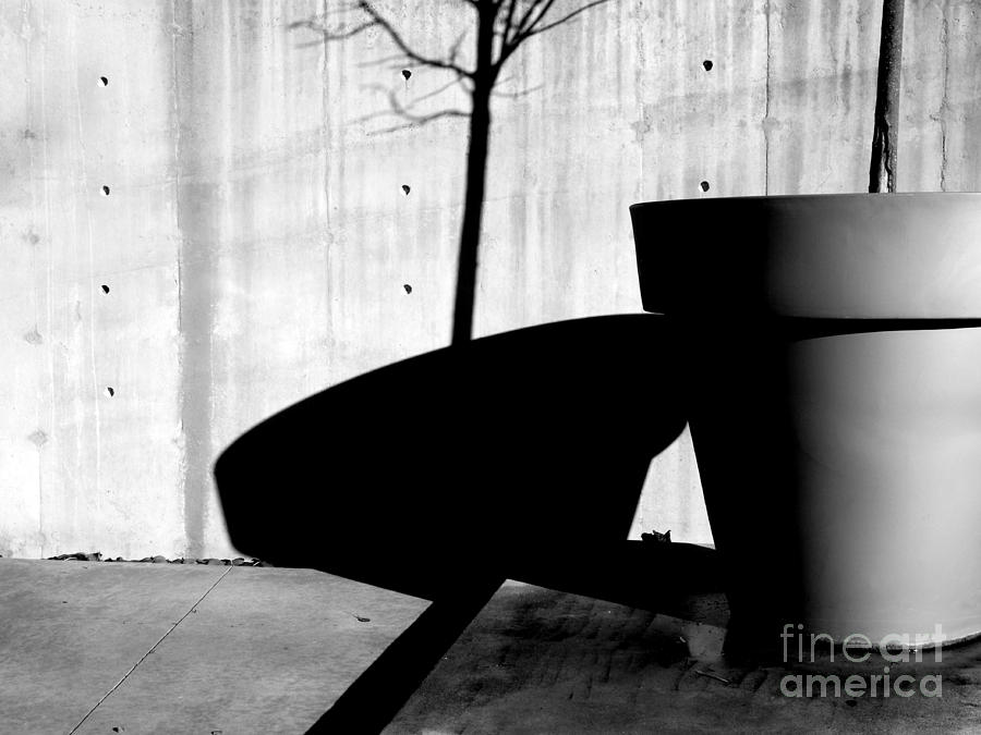 Black And White Photograph - Flower Pot and Shadows by Robert Riordan