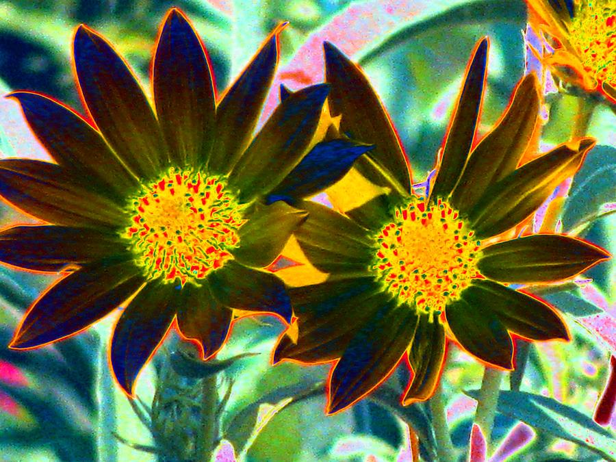 Flower Power 813 Photograph by Pamela Critchlow