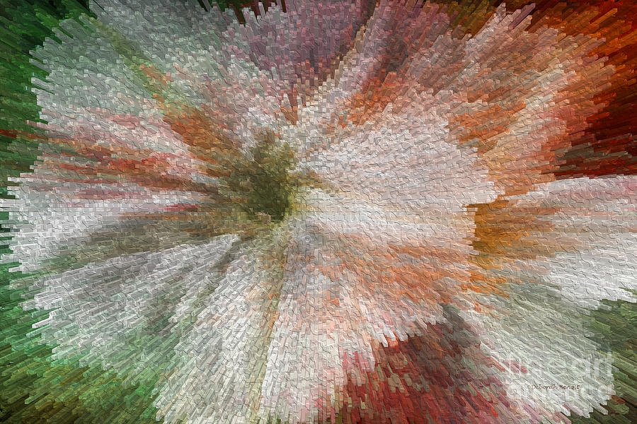 Flower Power Digital Art by Deborah Benoit