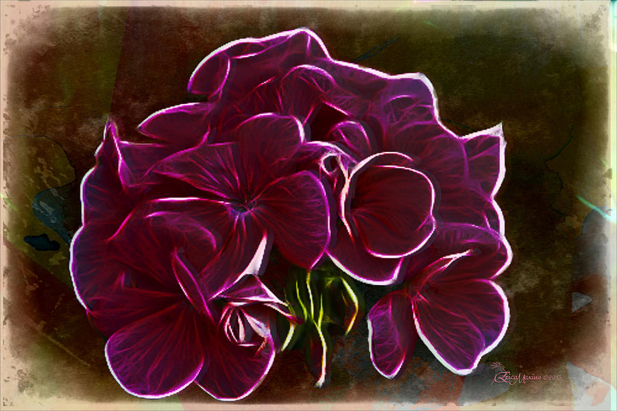 Flowers Still Life Photograph - FLOWER POWER Hydrangea by Ericamaxine Price