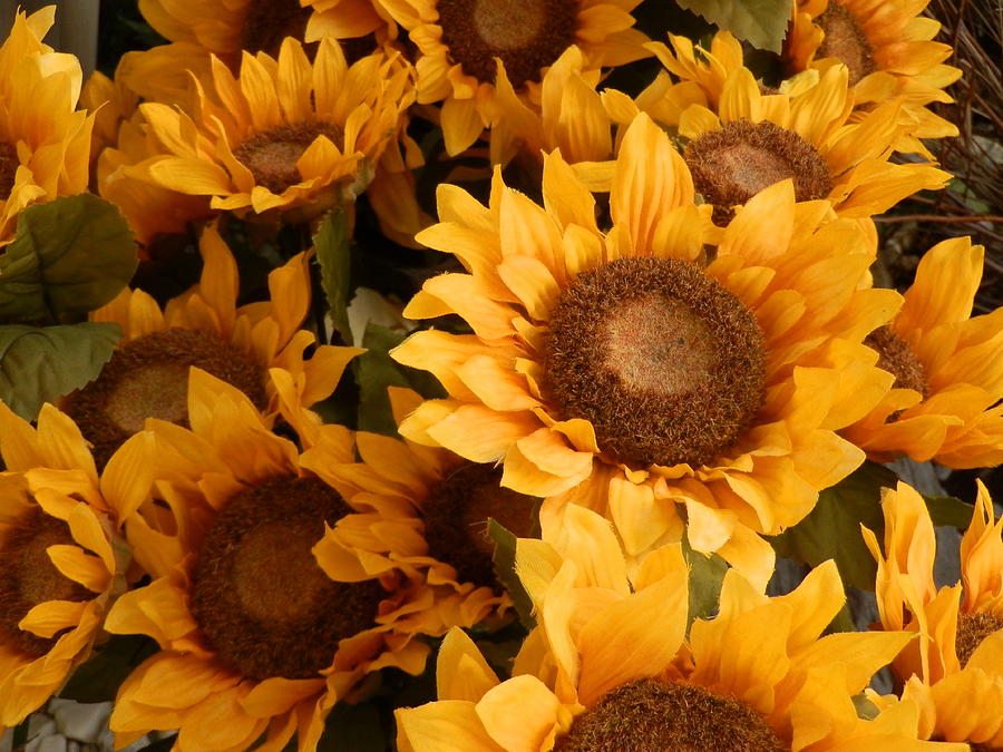 Flower Power Painting by Ione Hedges Fine Art America