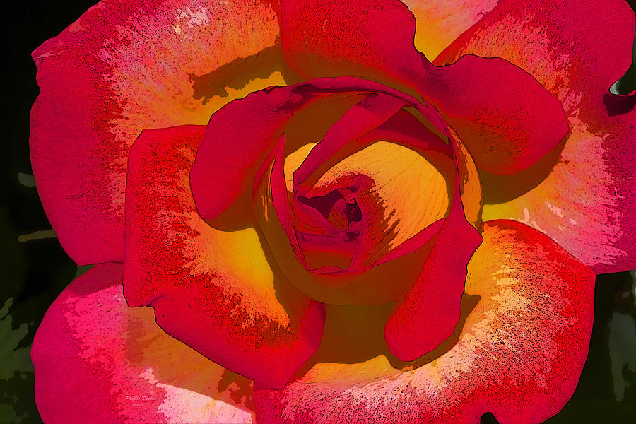 Flower Power Painterly Photograph by Phyllis Denton