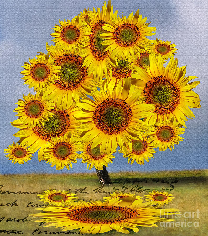 Flower Power - Sun flower tree Digital Art by Daliana Pacuraru