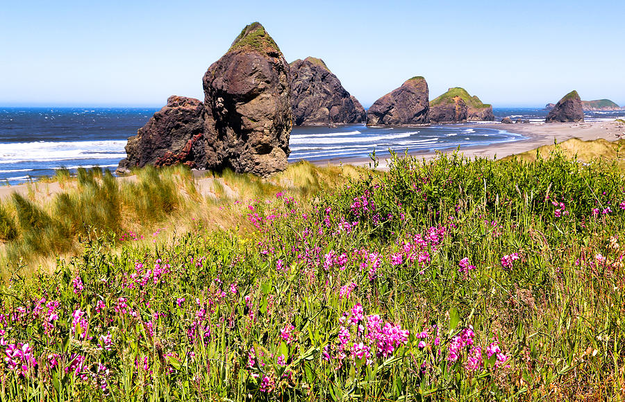 Flower Rock Beach Photograph