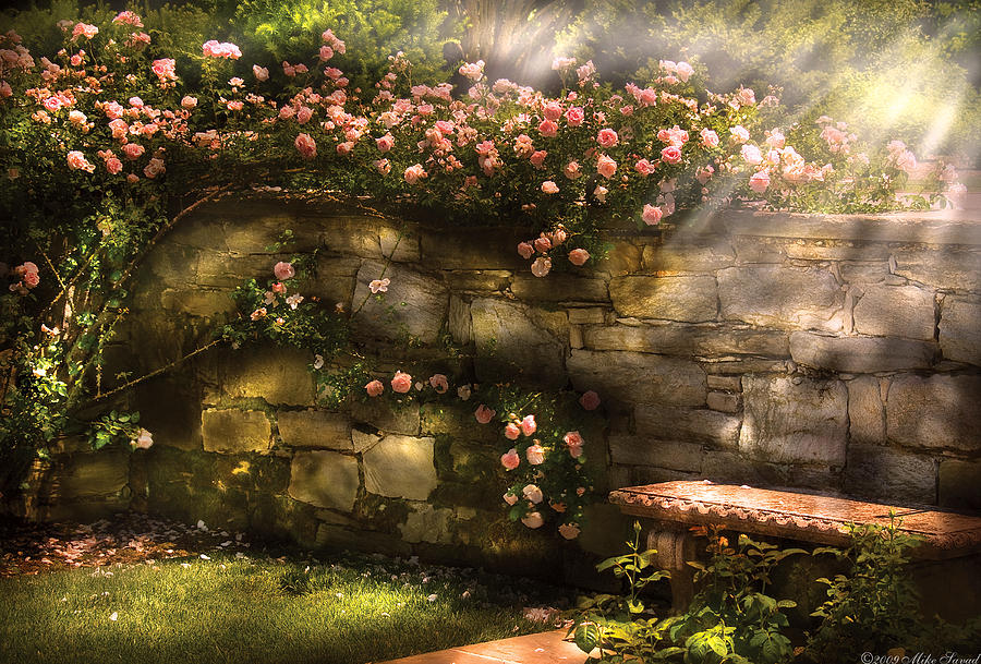 The Rose Garden Wall Art