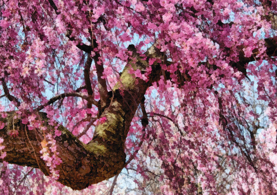 Flower - Sakura - Finally its Spring Digital Art by Mike Savad