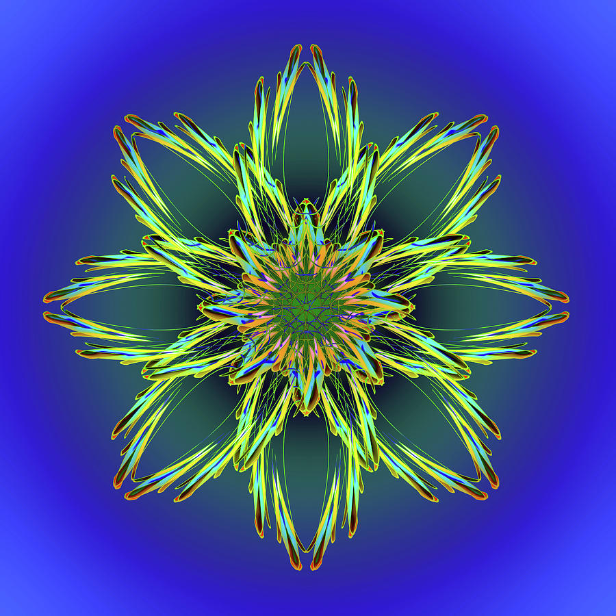Abstract Digital Art - Flower Segments Creative Abstract Design by Raj Kamal
