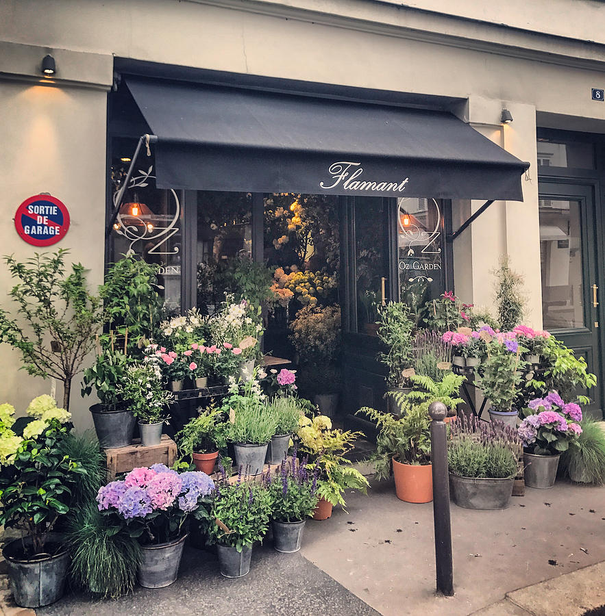 Flower shop in Paris, France Photograph by Anouchka