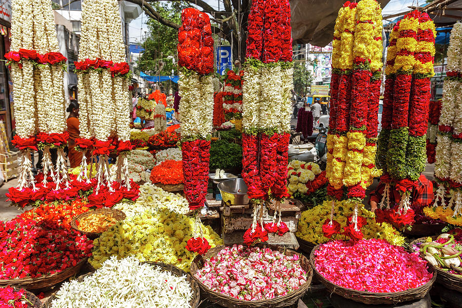 Flowers Still Life Photograph - Flower Shop, Southern India by Ali Kabas