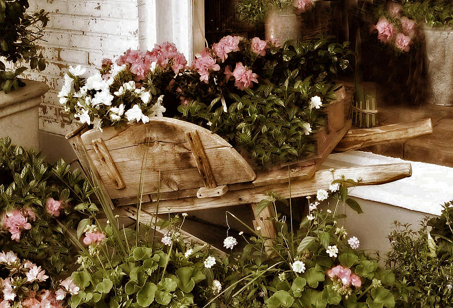 Flower Shoppe Photograph by Jessica Jenney