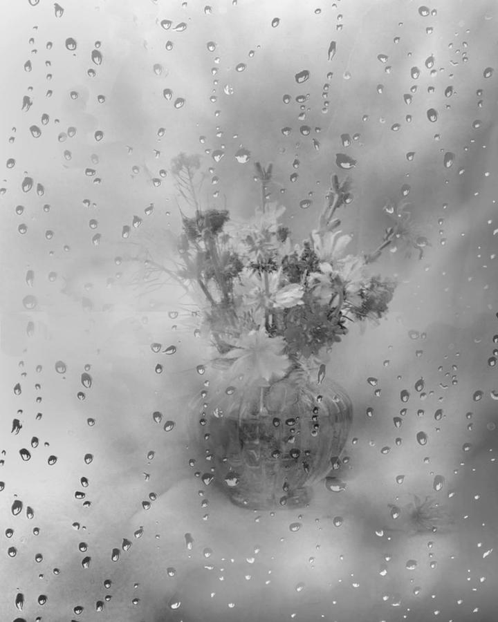 Still Life Photograph - Flowers Stilllife in BW by Frida Kaas