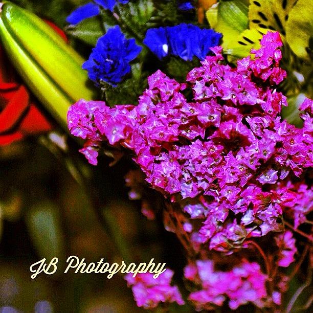 Nature Photograph - Flower #tagstagram.app #flower #blossom by Jamie Brown