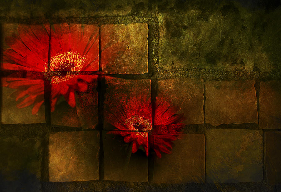 Flower Photograph - Flower Tiles by Bailey and Huddleston