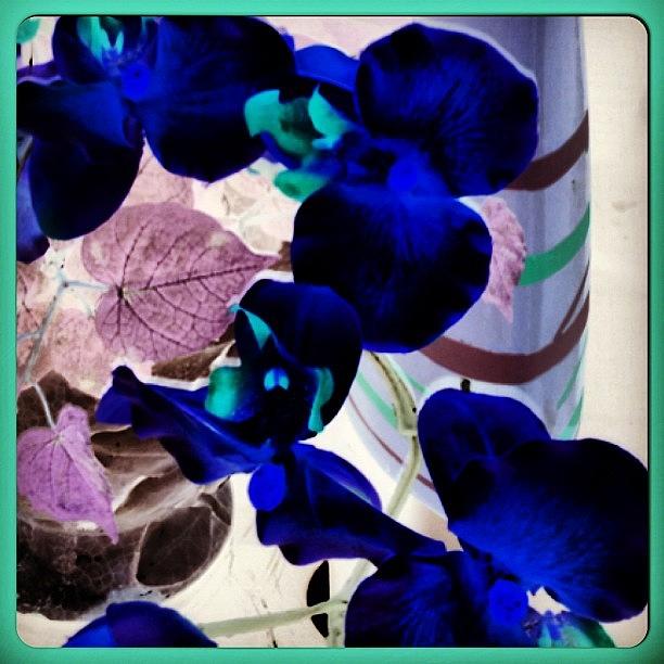 Pen Photograph - Flower Vase In Blue  #art #illustration by Alicia Greene