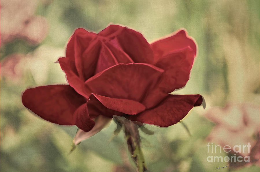 Rose Photograph - Flower -  Victorian Rose - Luther Fine Art by Luther Fine Art