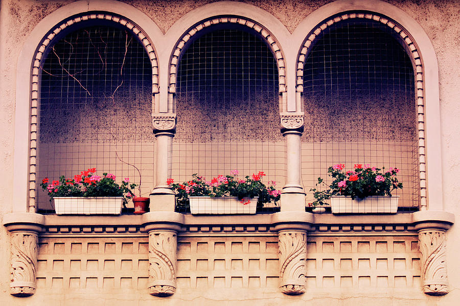 Flower Windows Photograph by Esmalale