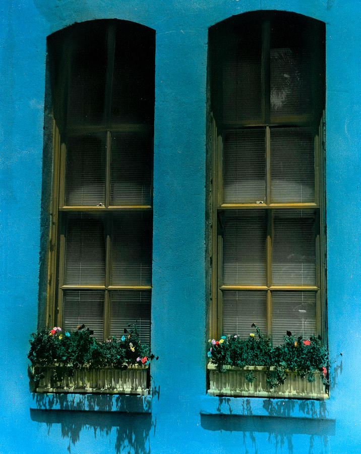 Flower windows Photograph by Jean Wolfrum