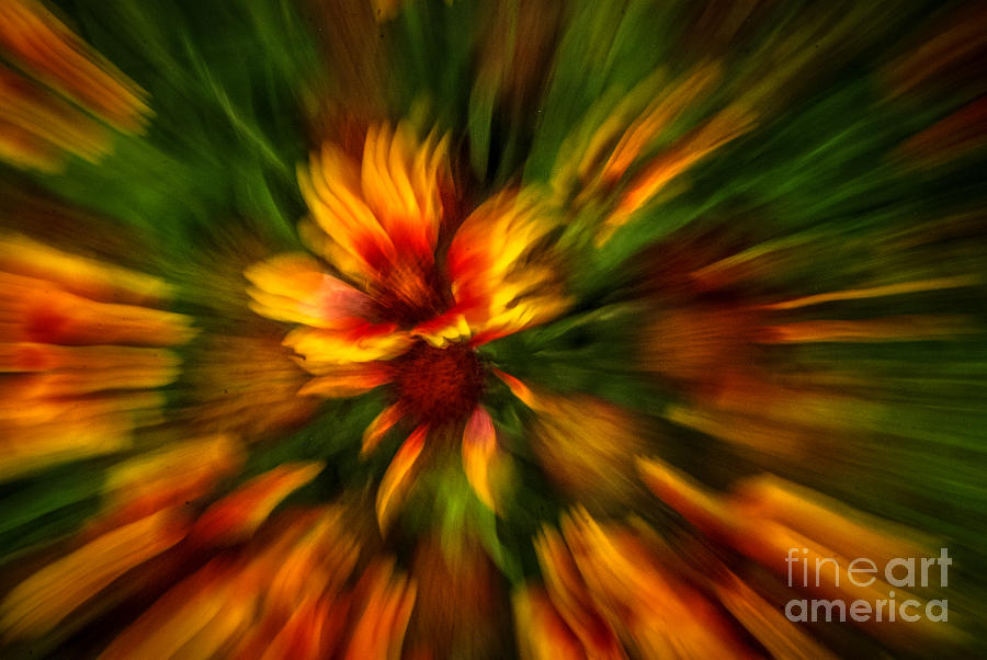 Flower Zoom Abstract Photograph by Grace Grogan