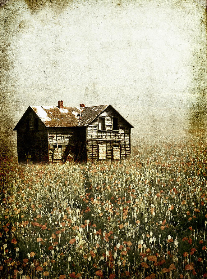 Vintage Photograph - Flowered Home by Larysa  Luciw