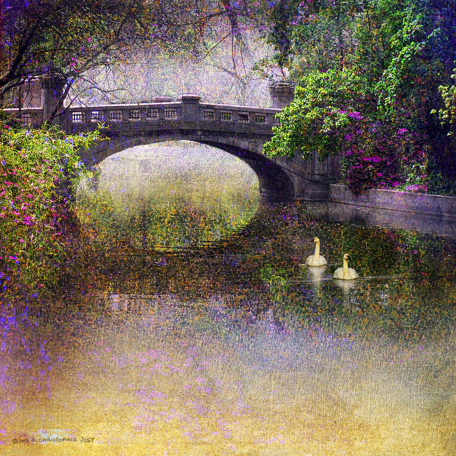 Bird Photograph - Flowered Park Bridge And Swans by R christopher Vest